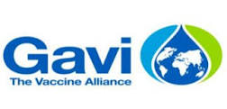 gavi